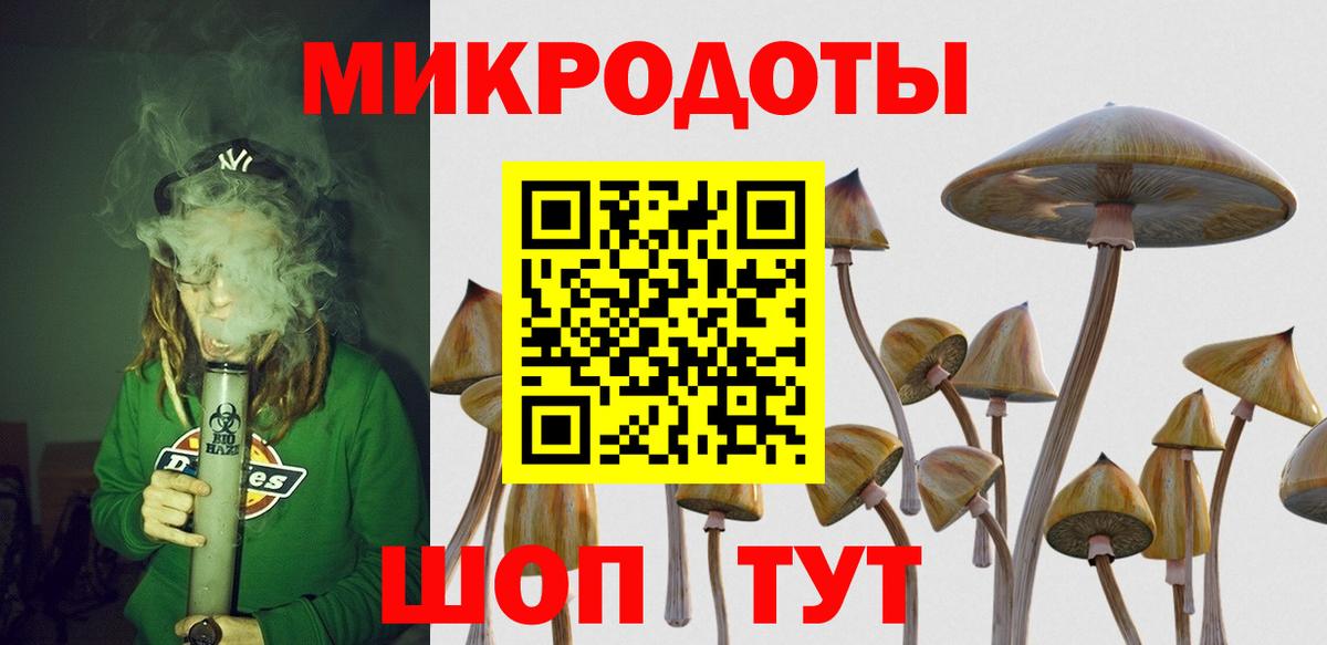 Галлюциногенные грибы MAGIC MUSHROOMS  Галлюциногенные грибы GOLDEN TEACHER  Вход с VPN  Тулун 