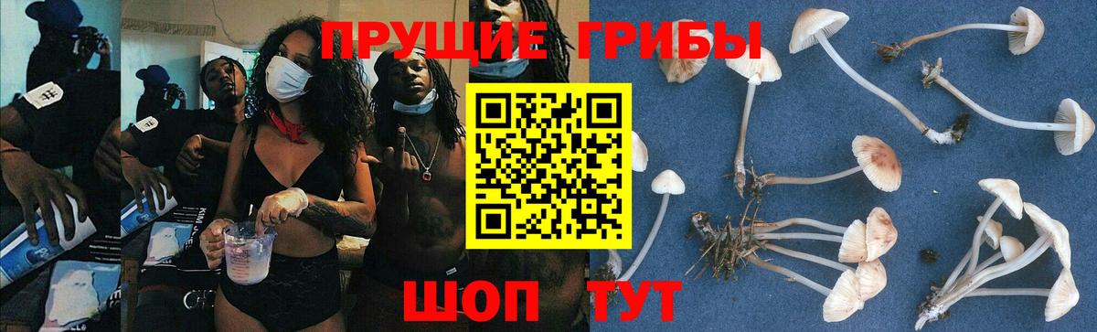 Галлюциногенные грибы мухоморы Тулун