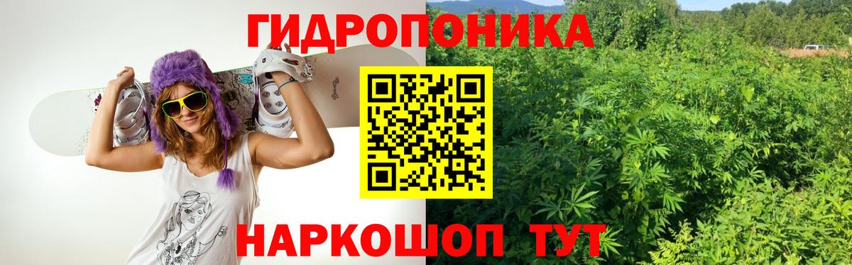 Каннабис семена  Каннабис семена  Тулун  Вход с VPN  МАРИХУАНА конопля  Конопля ГИДРОПОН 